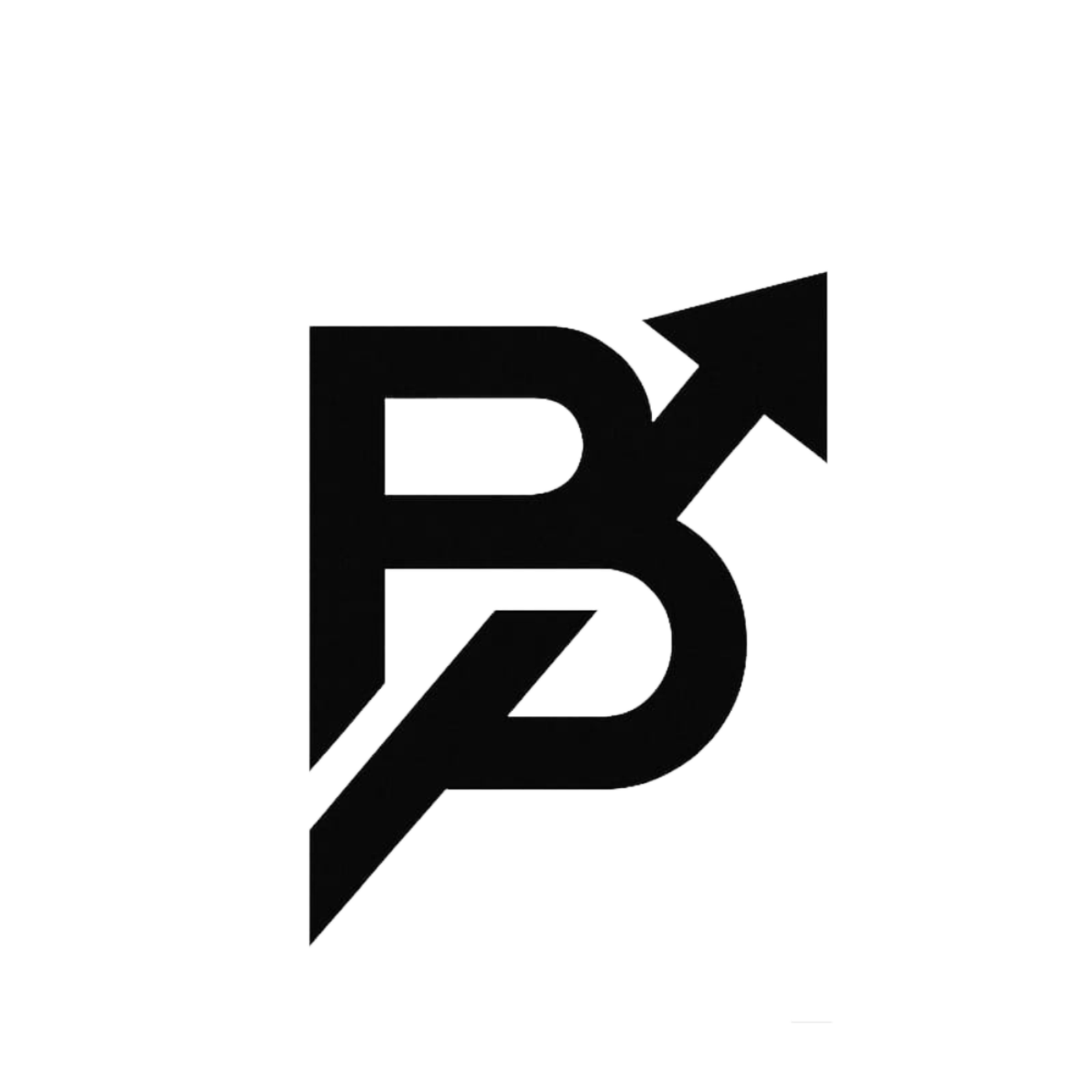 BAYNA GLOBAL logo